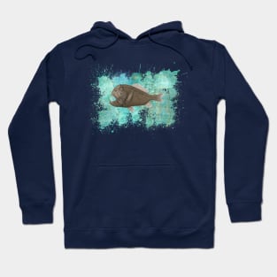 Anglerfish Turquoise Splash Hoodie